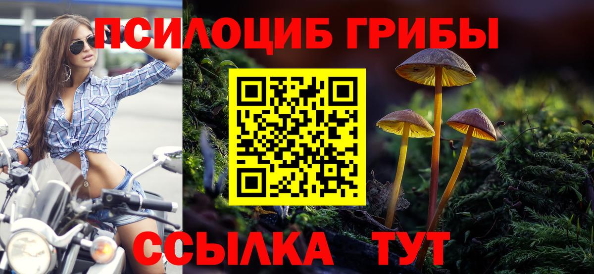 Добрянка  Псилоцибиновые грибы Psilocybe  Вход с VPN 